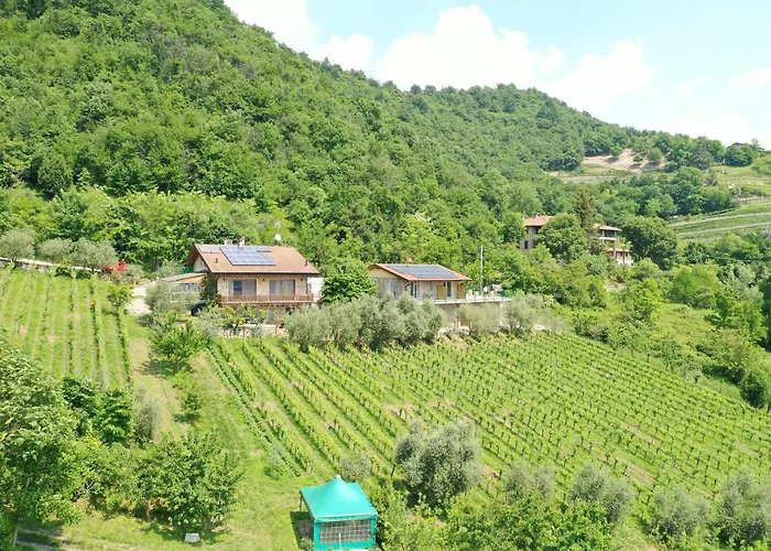 Agriturismo Ca Del Manenti