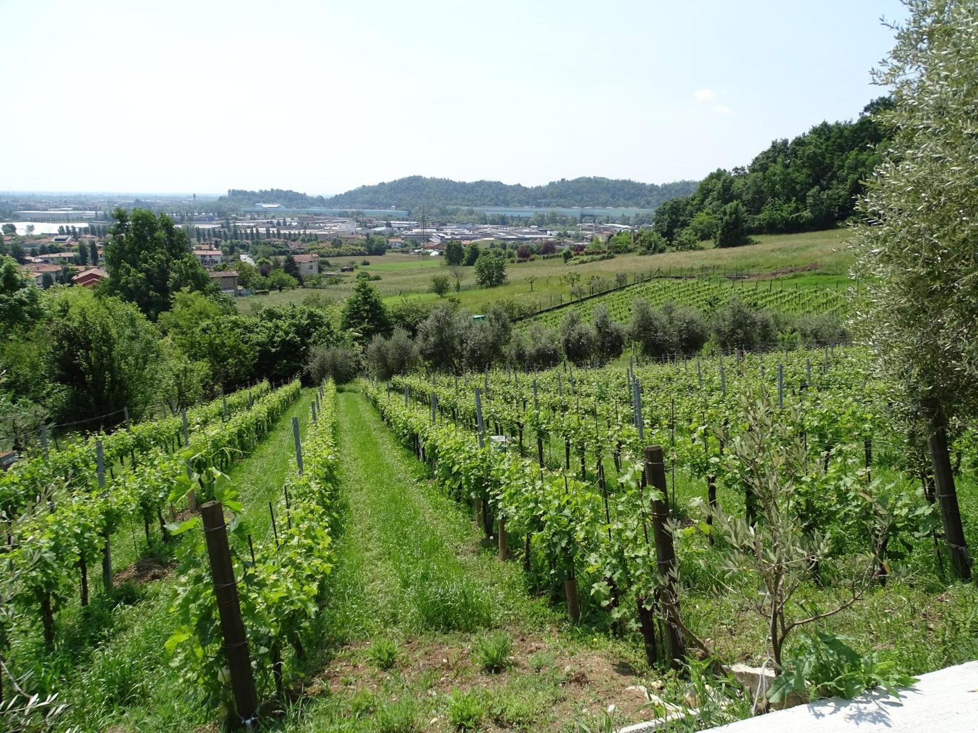 Ca Del Manenti Farm stay San Paolo d'Argon